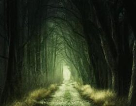 traumatisme-psychique-secret-de-famille-transg-n-rationnel